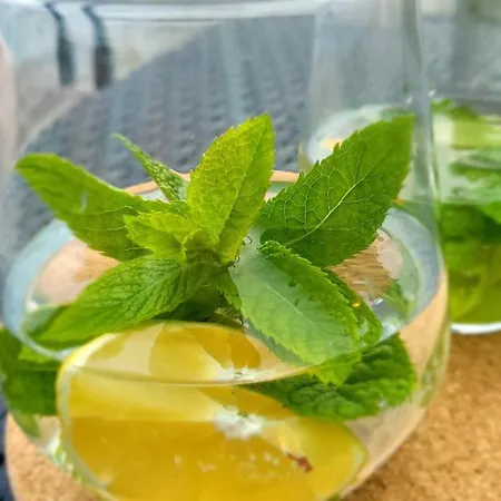 Hotel en barco Houseboat Seesea Mazury - Na Wodzie K Gizycka Bogaczewo (Gizycko)