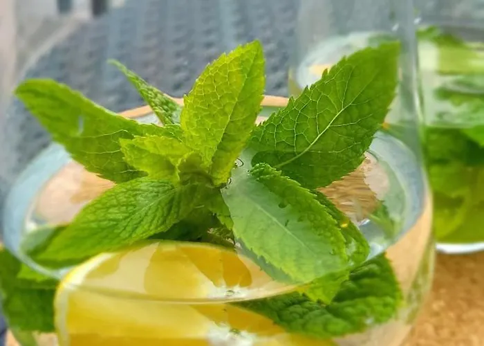 Botel Houseboat Seesea Mazury - Na Wodzie K Gizycka Bogaczewo (Gizycko)